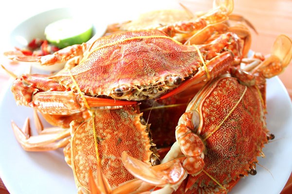 Ghẹ Hàm Ninh Phú Quốc