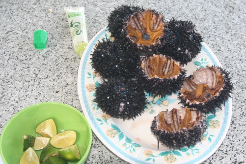Nhum biển Phú Quốc
