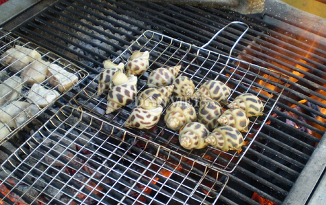 Ốc Hương Phú Quốc