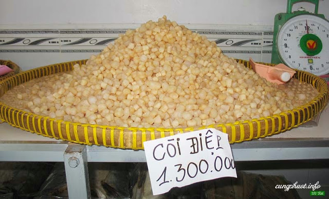 Các món ăn ngon ở Phú Quốc