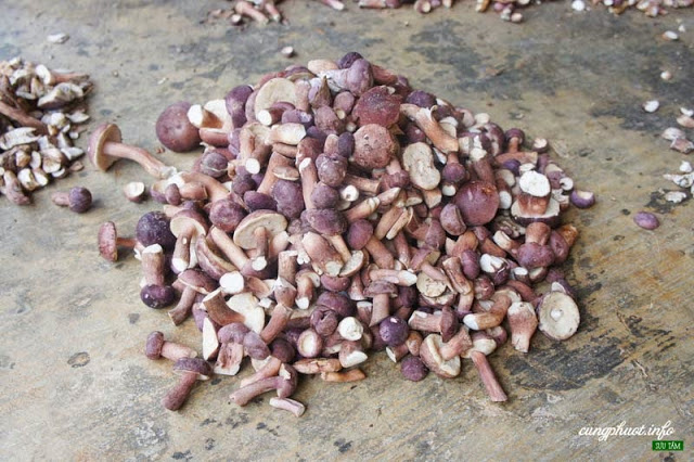 Các món ăn ngon ở Phú Quốc